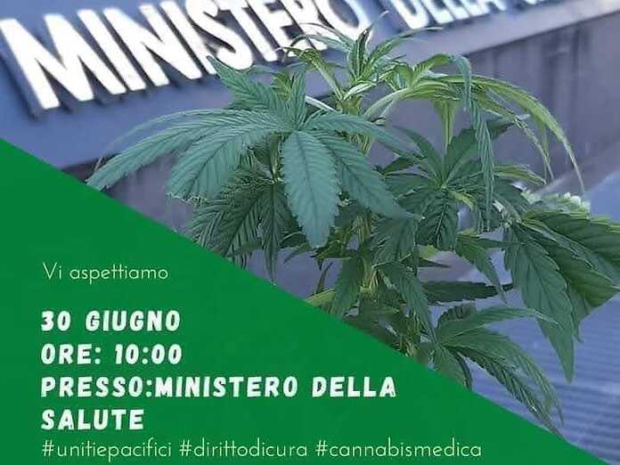 La sofferenza dei malati e l&#039;immobilismo delle istituzioni: i pazienti manifestano al Ministero