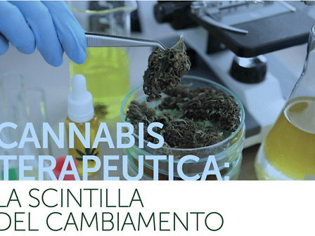 &amp;quot;Cannabis terapeutica la scintilla del cambiamento&amp;quot;, corso online per i professionisti sanitari