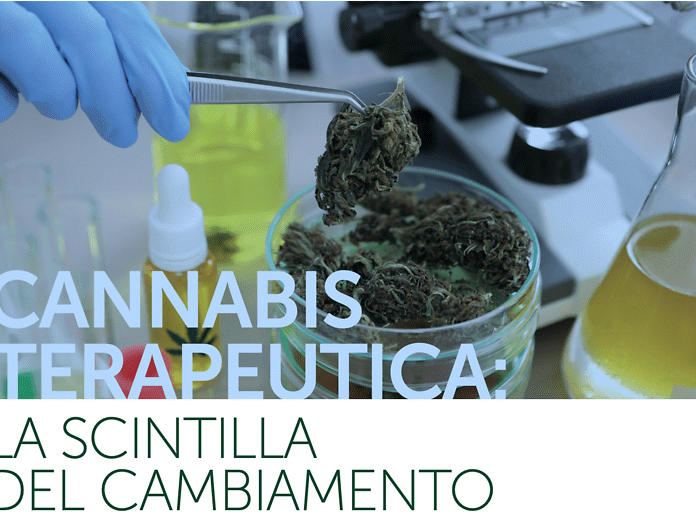 &quot;Cannabis terapeutica la scintilla del cambiamento&quot;, corso online per i professionisti sanitari