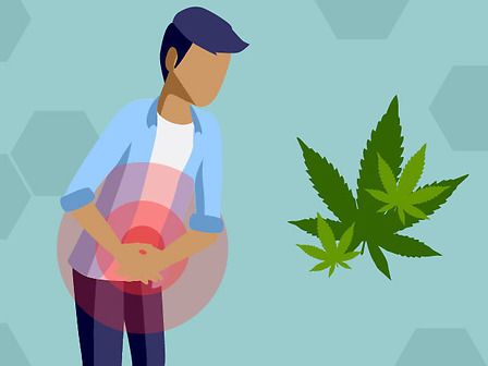 Cannabis e patologie intestinali: gli sviluppi (tutti italiani) della ricerca