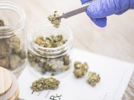 Sicilia: cannabis gratuita in tutta la Regione e mozione per aumentare le patologie