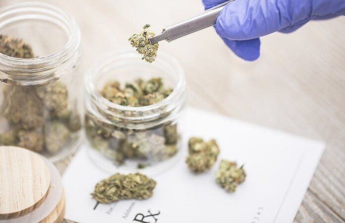 Sicilia: cannabis gratuita in tutta la Regione e mozione per aumentare le patologie