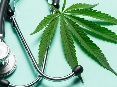 Cannabis medica: in Italia nel 2020 inevase il 44% delle richieste dei pazienti