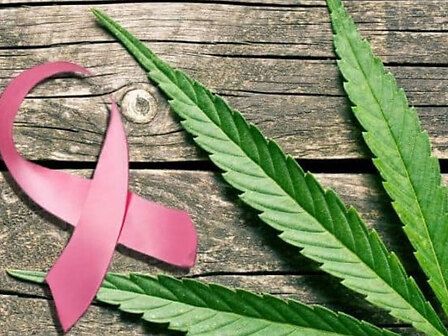 Il CBD per coadiuvare il trattamento del cancro al cervello e al seno: due nuovi studi