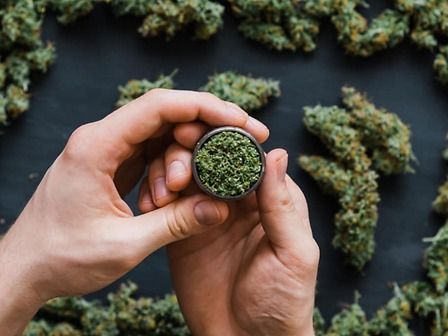 Cannabis: il consumo occasionale non ha effetti negativi sulla salute degli adulti