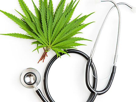 Cannabis Terapeutica: un italiano su 10 l&amp;#039;ha utilizzata, l&amp;#039;84% sa che è legale