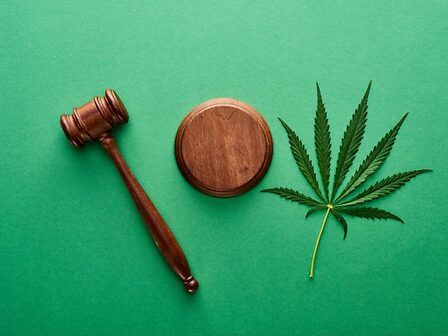 Calabria: proposta una legge regionale per la cannabis terapeutica