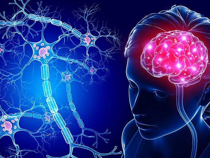 Il CBD per il miglioramento della salute e la longevità dei neuroni