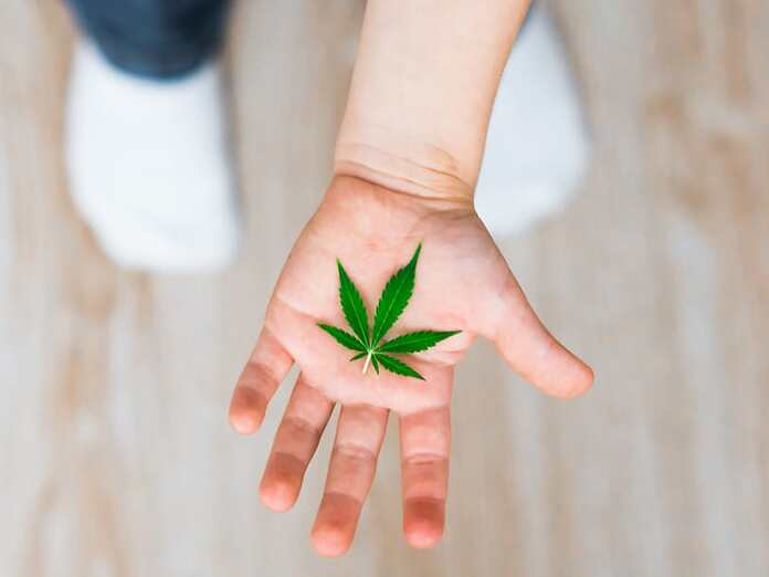 &quot;Per i pazienti che usano cannabis non c&#039;è pietà?&quot;, la lettera inviata al sottosegretario Costa