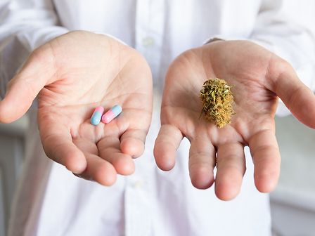 Le multinazionali farmaceutiche con la legalizzazione della cannabis perdono miliardi
