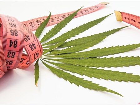 Cannabis, &amp;quot;fame chimica&amp;quot; e peso corporeo: cosa dicono gli studi?
