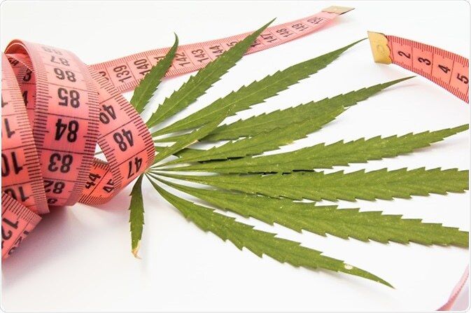 Cannabis, &quot;fame chimica&quot; e peso corporeo: cosa dicono gli studi?