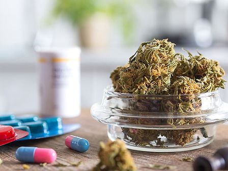 La cannabis per ridurre gli oppioidi nei pazienti oncologici