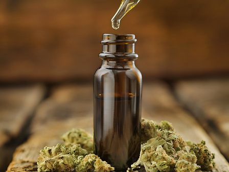 Olio di cannabis per dolore e altre patologie: miglioramento significativo in tutti i risultati clinici