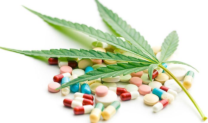 Con la cannabis terapeutica legale i guadagni dei medici correlati agli oppioidi calano significativamente