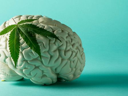 Cannabis contro il tumore al cervello: al via lo studio clinico più grande mai realizzato