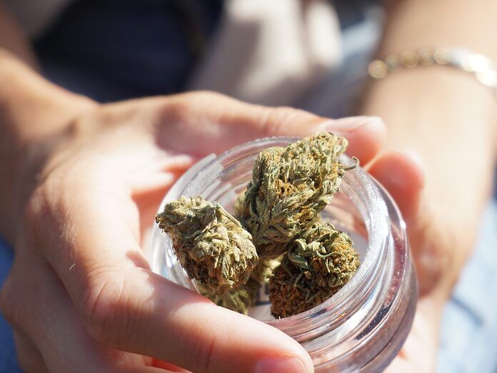 Fibromialgia e cannabis: il punto di vista dei pazienti del Comitato Fibromialgici Uniti