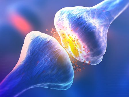 Recettori del sistema endocannabinoide: tutto quello che c&amp;#039;è da sapere