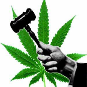 marijuana