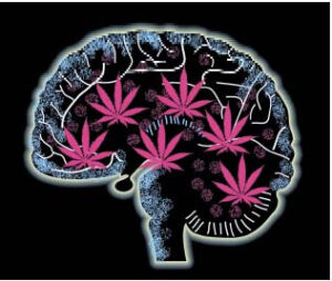 cannabis_mental_health