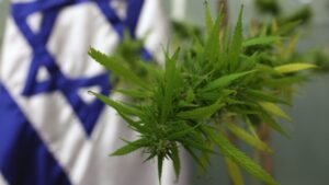 Cannabis terapeutica Israele