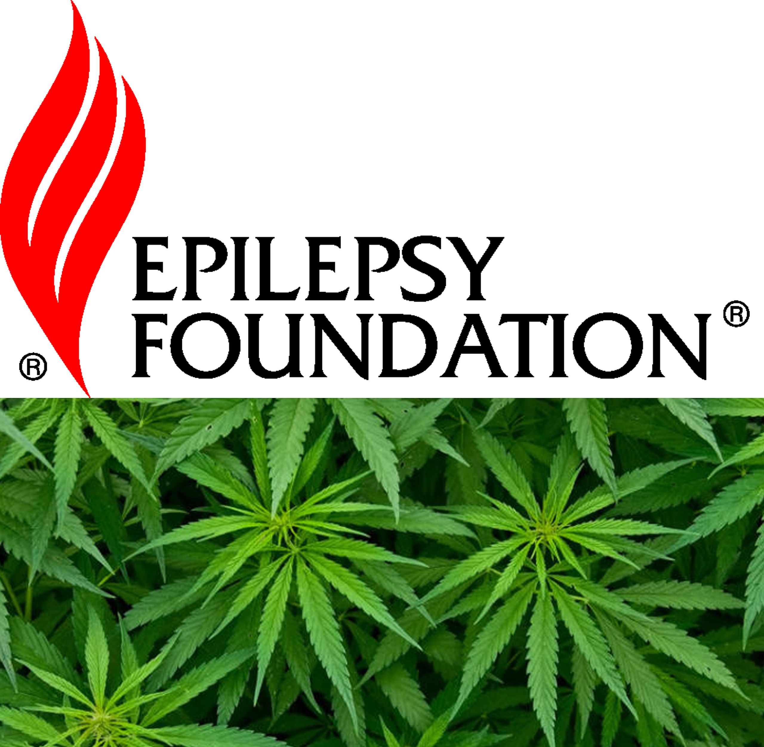 Epilepsy foundation