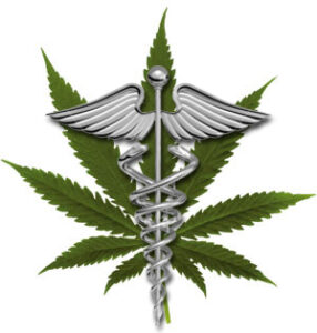 Cannabis terapeutica