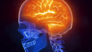 cervello neuro protezione cannabinoidi