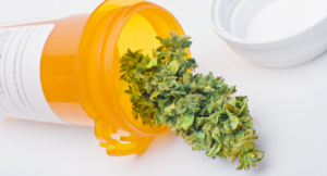 Cannabis terapeutica