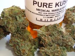Cannabis