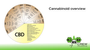 2..3Cannabinoid Circel