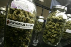 cannabis terapeutica