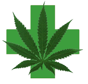 cannabis terapeutica