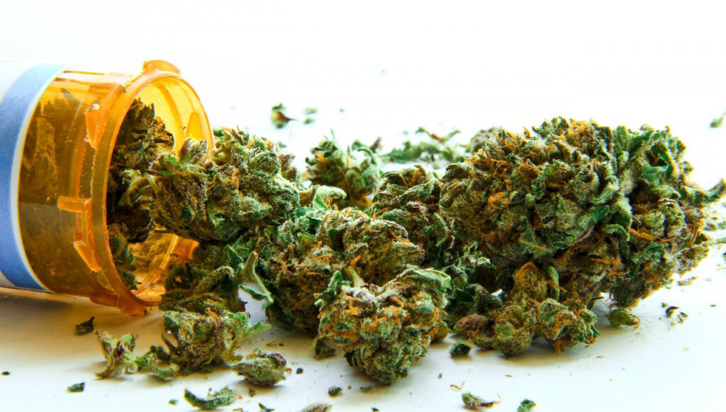 cannabis farmaco