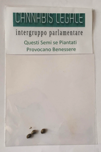 semi cannabis intergruppo