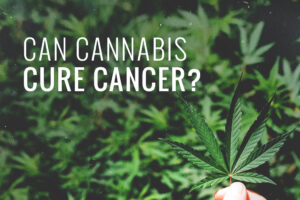 can-cannabis-cure-cancer