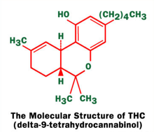 THC