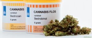 Cannabis flos
