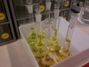 Prove di decarbossilazione: effettuate nei Gorleaus Laboratory dell'Università di Leiden