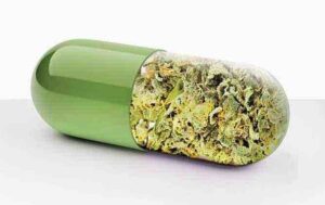 cannabis-capsule-orali-decarbossilate-farmaco-Farmagalenica
