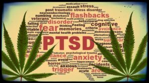 arizona-ptsd-marijuana1