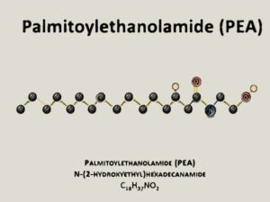 PEA Palmitoiletanolamide 