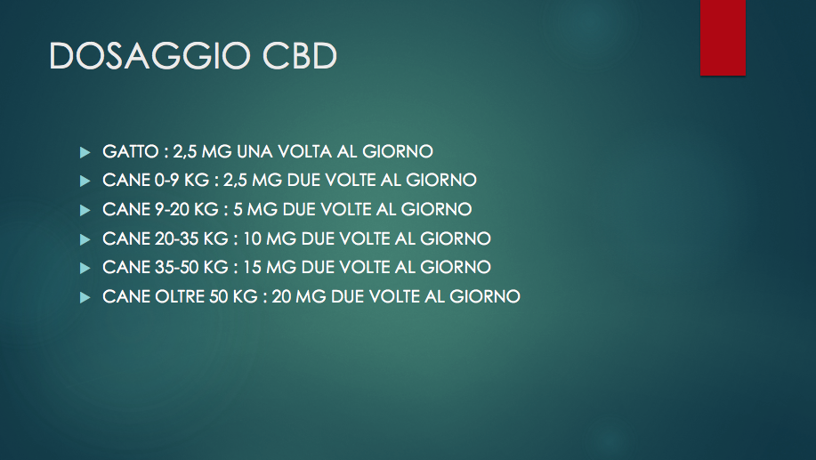 Cannabis per animali: l'esperienza della dottoressa Elena